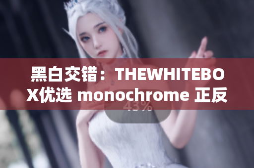 黑白交错：THEWHITEBOX优选 monochrome 正反两色