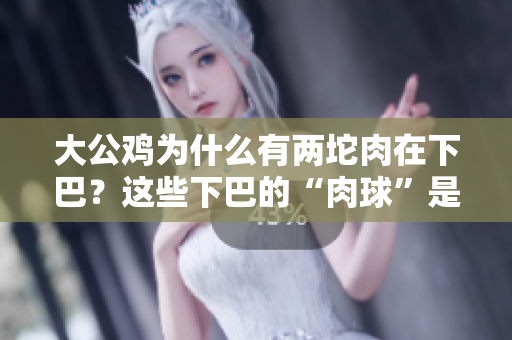 大公鸡为什么有两坨肉在下巴?这些下巴的“肉球”是什么?