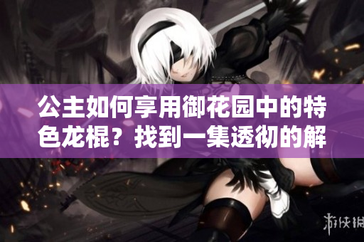 公主如何享用御花园中的特色龙棍？找到一集透彻的解释