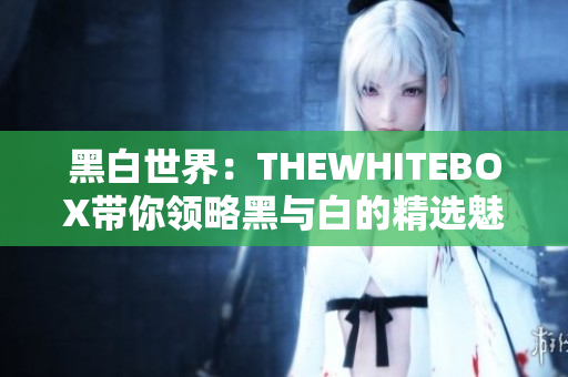 黑白世界：THEWHITEBOX带你领略黑与白的精选魅力