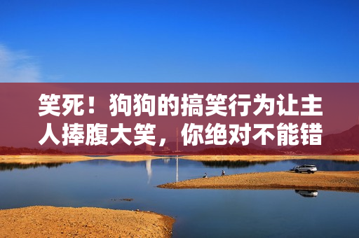 笑死！狗狗的搞笑行为让主人捧腹大笑，你绝对不能错过这个欢乐时刻！