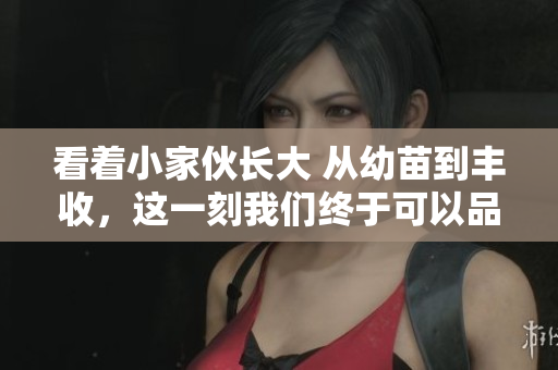 看着小家伙长大 从幼苗到丰收，这一刻我们终于可以品尝它的美味