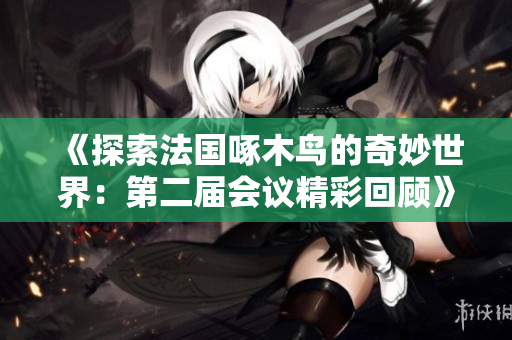 《探索法国啄木鸟的奇妙世界：第二届会议精彩回顾》