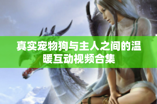 真实宠物狗与主人之间的温暖互动视频合集